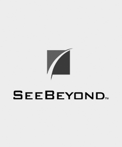SeeBeyond